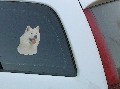 Käyttäjän avatar