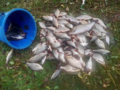 Kalat 11.10.2023 (Copy).jpg