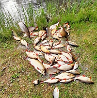 445817277_463021506409753_7566592186253080871_n (Copy).jpg