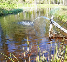 442414220_419391814294329_6567032906294060479_n (Copy).jpg