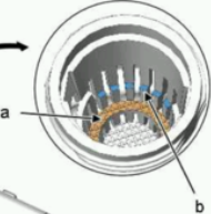 Screenshot 2024-12-22 09.15.28.png