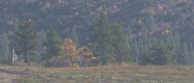 Screenshot 2025-09-21 11.53.46.png