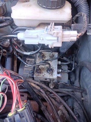 IMG_20251016_144624_optimized_150_1_optimized_100 (1).jpg