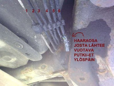 vuotoa.jpg