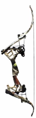 Bow2.JPG