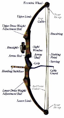 Bow-Compound.JPG