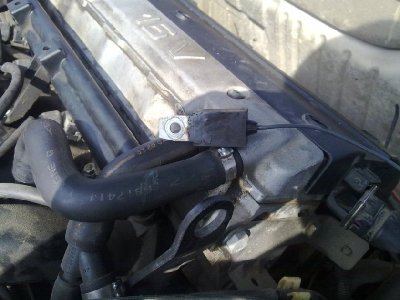 25042011075.jpg