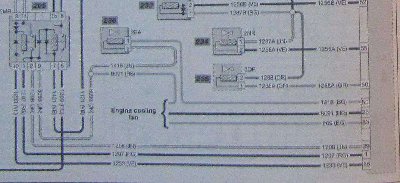 resized_compressed_compressed_xsaraHDIkuva3.jpg