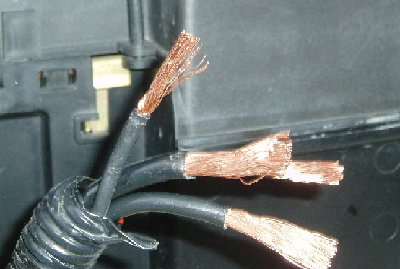 P7300287a.jpg