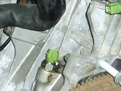 P2210009a.jpg