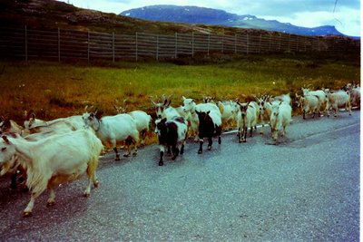 2012-01-28_22 (Small).JPG