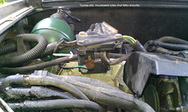 IMAG0205 kopio 1.jpg