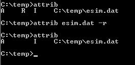 esim.jpg