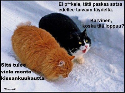 tuossa on kuva limunaatille.jpg