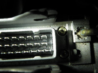 P2264783.JPG