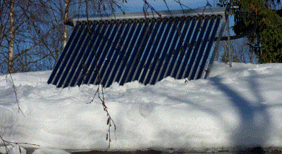 SDC16195-copy.gif