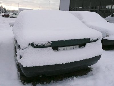 xanttu.jpg