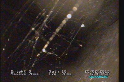 PV000008.JPG