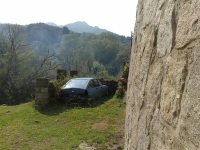 14042009486 (Small).jpg