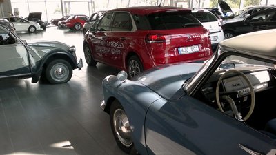 c4picasso.jpg
