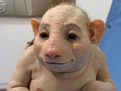 sikainfluenssa 040709T.jpg