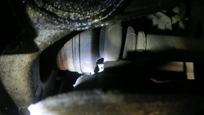 IMG_1635.JPG
