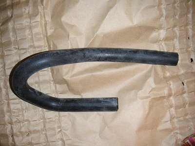 lagulet.jpg