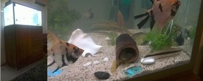 Saavillinen kalaa.JPG