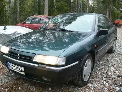 Xanttu saapui.jpg