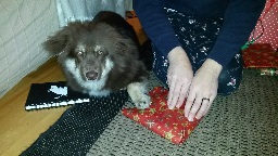 2014-12-21 21.30.44-2.jpg