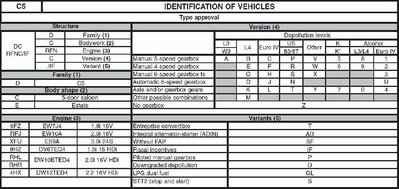 C5 identification.jpg