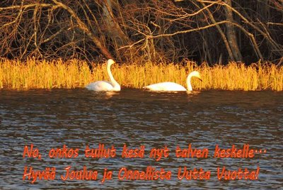 Joulukortti 2_12-23-2015.jpg