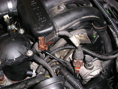 Xm td 006.jpg