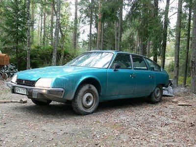 Konneveteläinen -83.jpg