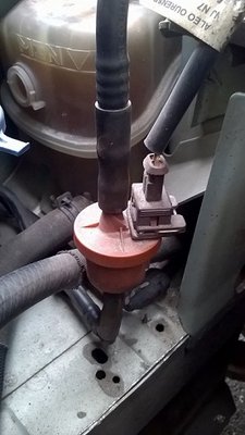 WP_20160915_17_28_59_Pro.jpg