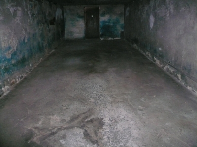 P1050089k.jpg