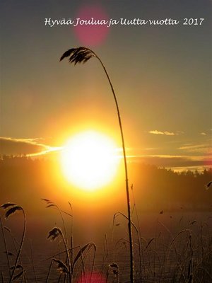 Aamu usva lauantaina 17.12.2014 (Copy).jpg