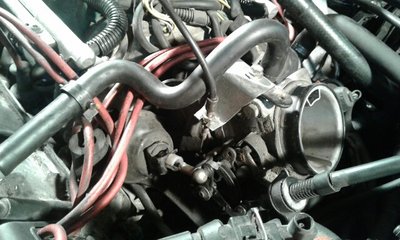 20170315_123221_resized.jpg