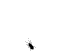 murkku.gif