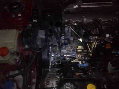 22022009007.jpg