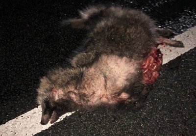 Screenshot 2019-11-04 at 00.45.31.jpg