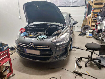 ds5f.jpg