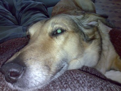 270320101236.jpg
