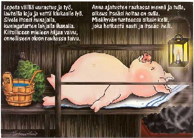 lauteilla loju.jpg