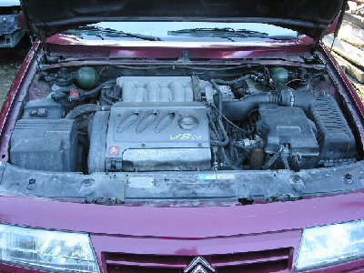 V24 004.jpg