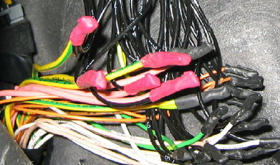 vaunu 004.jpg