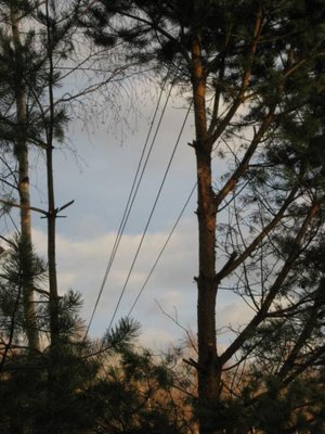 IMG_1670_11-18-2013.jpg