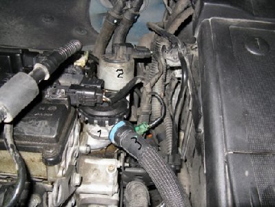 IMG_2200.JPG