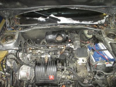IMG_3180 (Copy).jpg