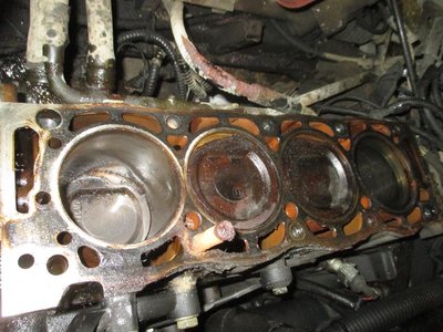 IMG_0303 (Copy).JPG